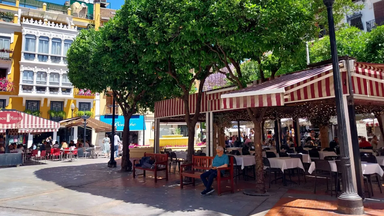 Terrazas con toldos de rayas rojas y blancas a la sombra de los naranjos de la Plaza de las Flores, en Murcia